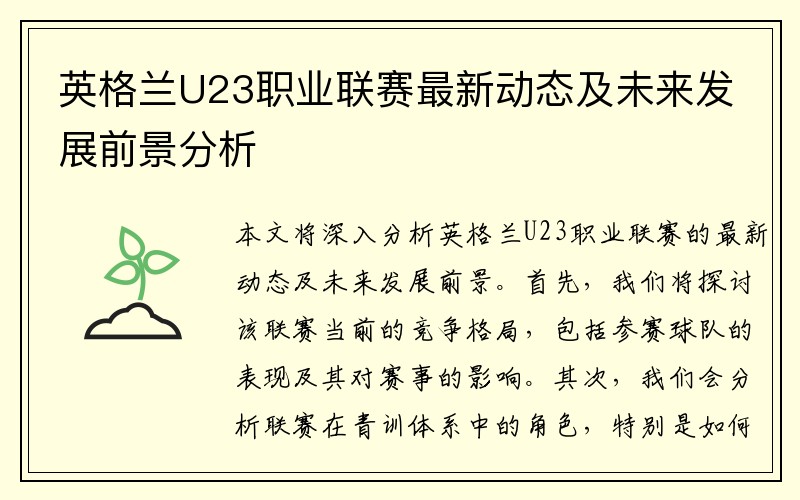 英格兰U23职业联赛最新动态及未来发展前景分析