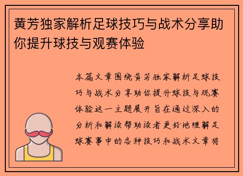 黄芳独家解析足球技巧与战术分享助你提升球技与观赛体验
